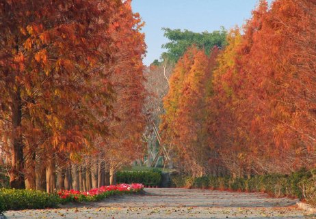 小鎮好Q之公園裡的邂逅